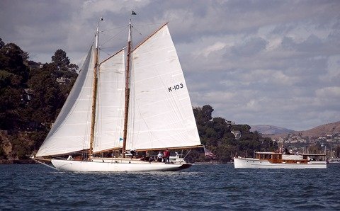 Yankee at anchor under sail in Sausalito